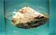 Pumice floating