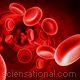 Red blood cells